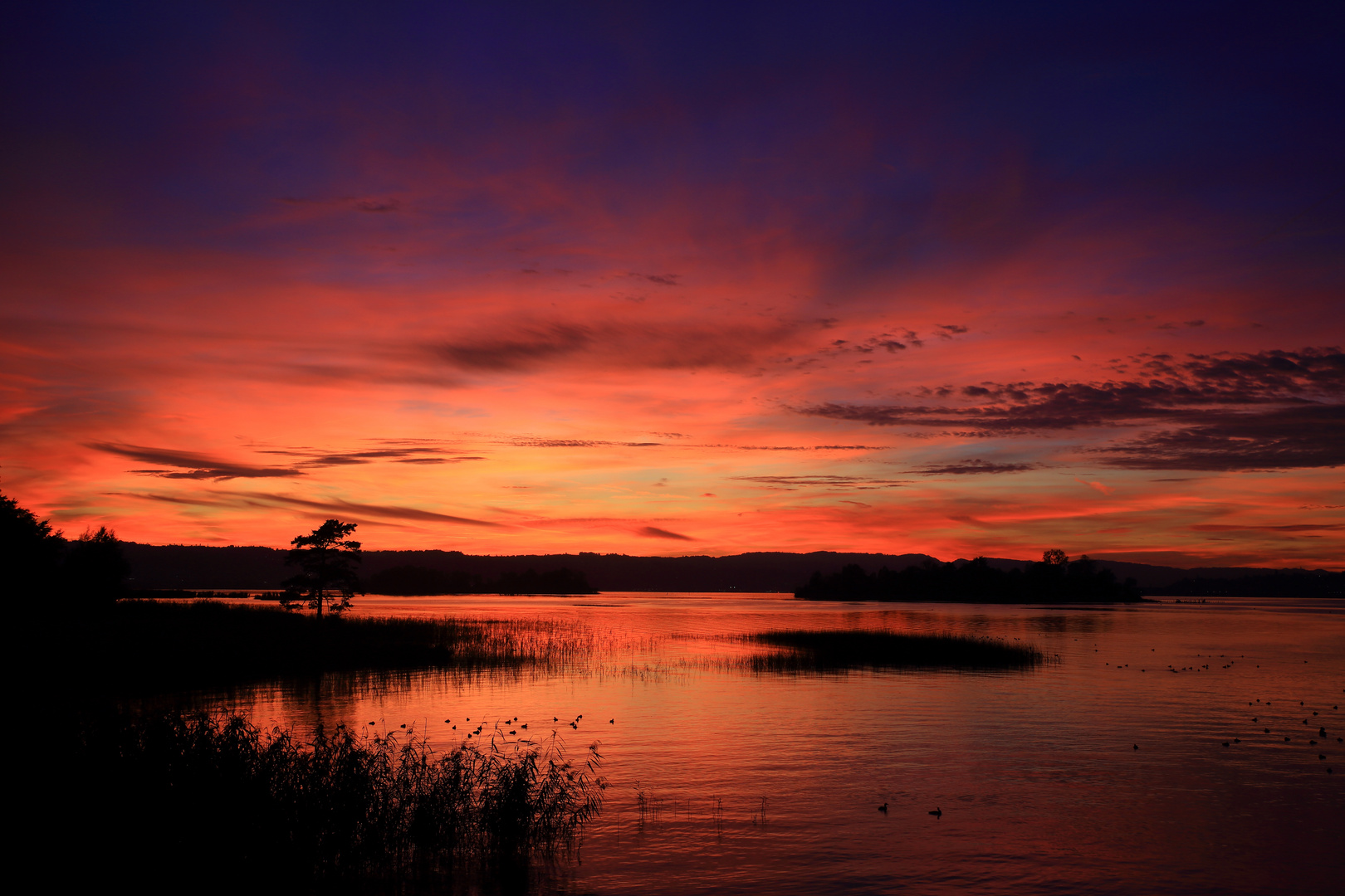 Sonnenuntergang am Zürichsee 3