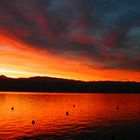 Sonnenuntergang am Zürichsee