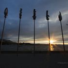 Sonnenuntergang am Zürichsee