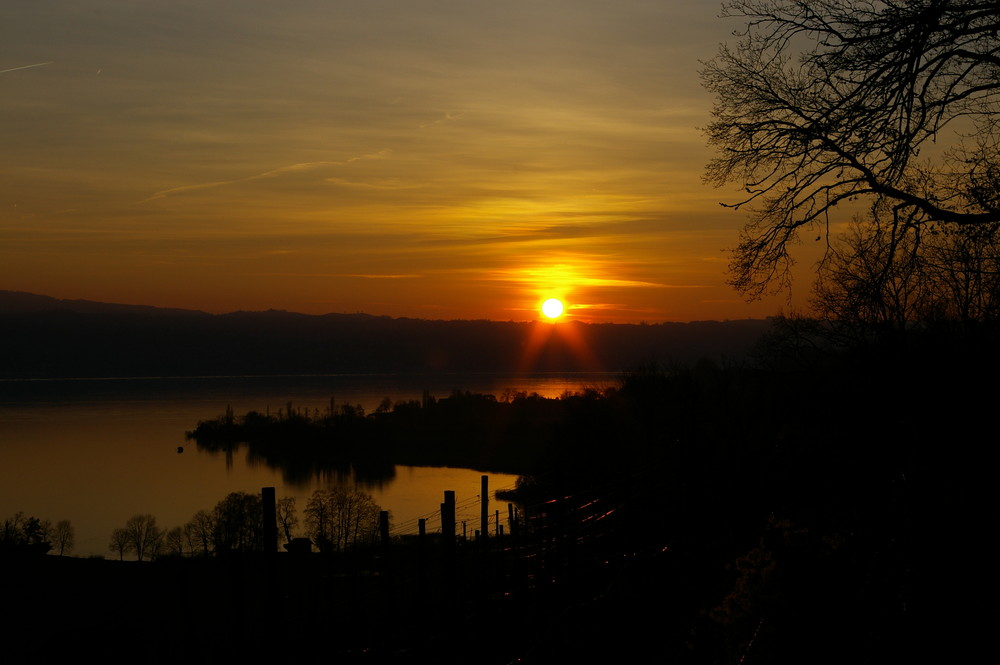 Sonnenuntergang am Zürichsee