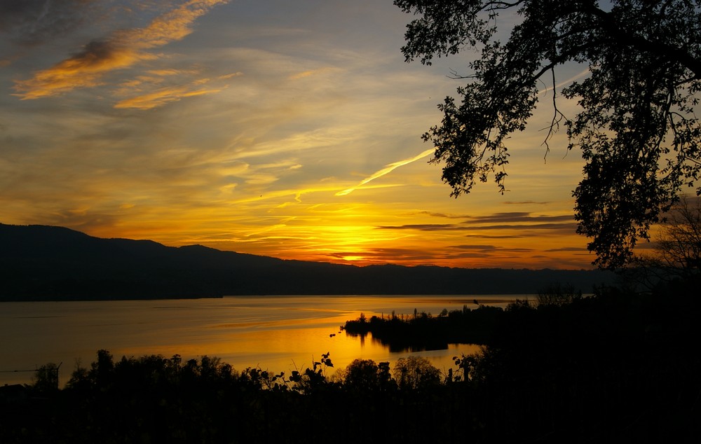 Sonnenuntergang am Zürichsee