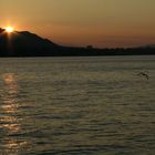 Sonnenuntergang am Zürichsee