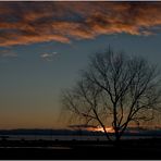 Sonnenuntergang am zugefrorenen Neusiedlersee