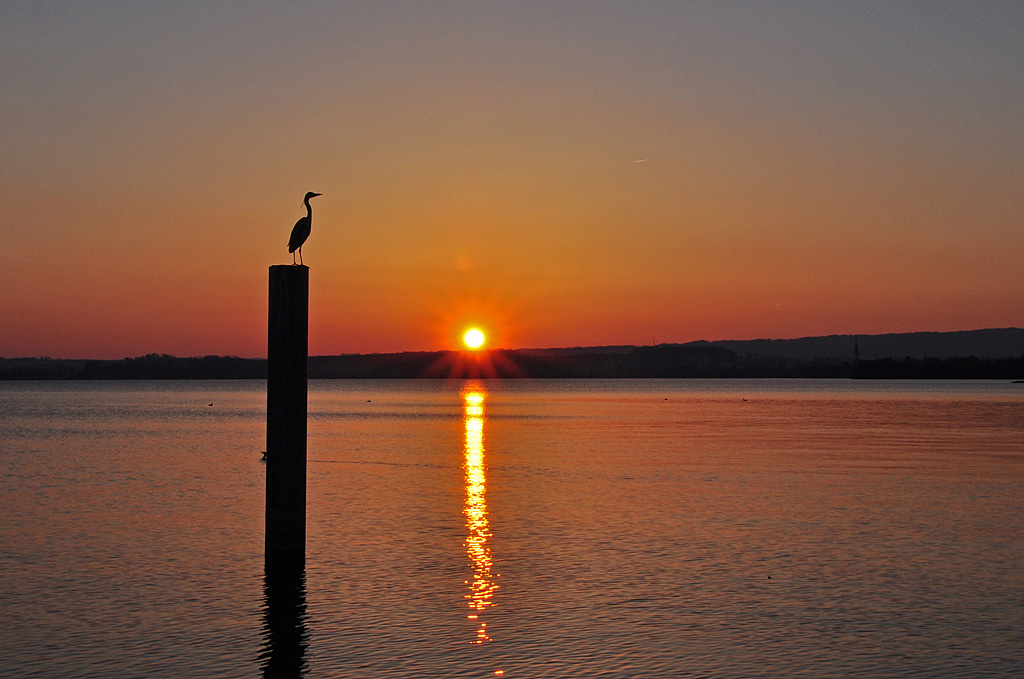 Sonnenuntergang am Zugersee