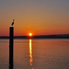 Sonnenuntergang am Zugersee