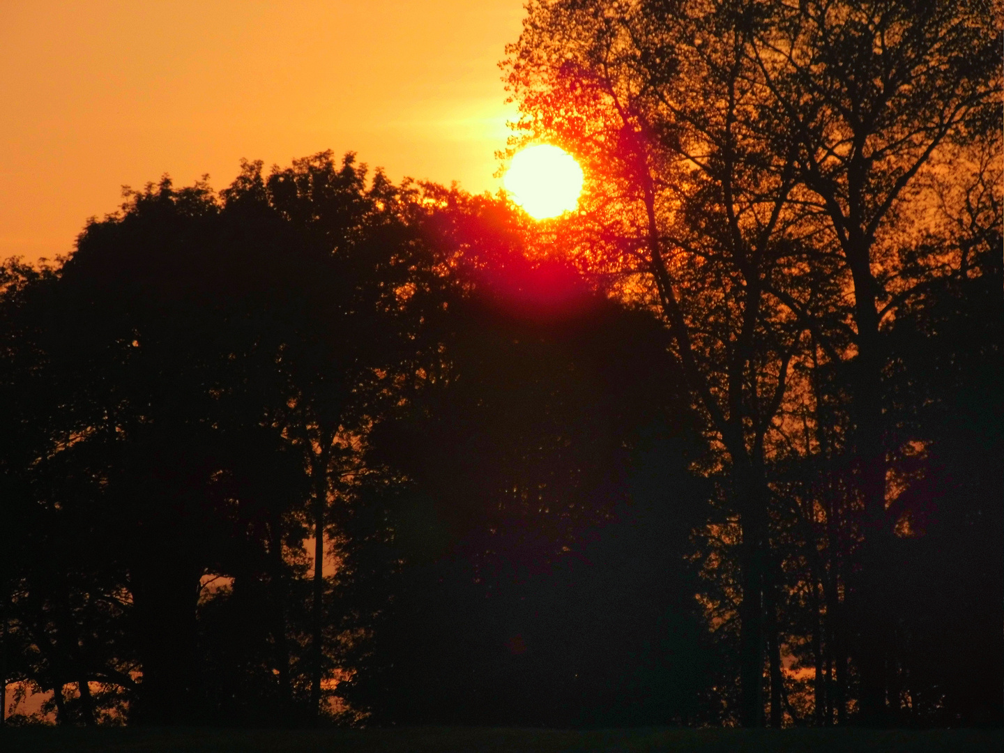 Sonnenuntergang am Zwischenahner Meer