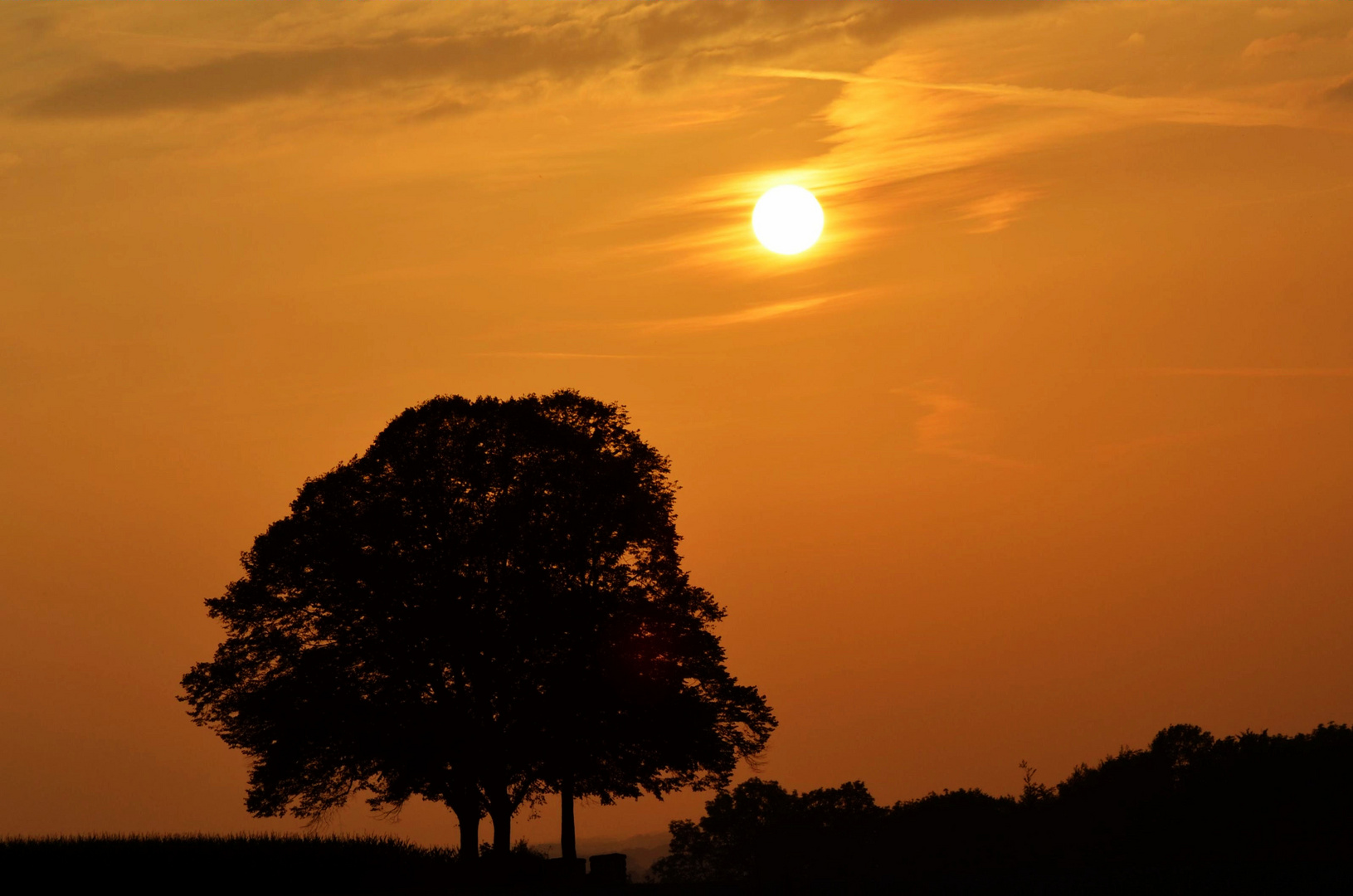 Sonnenuntergang an den" Drei Linden"