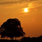 Sonnenuntergang an den" Drei Linden"