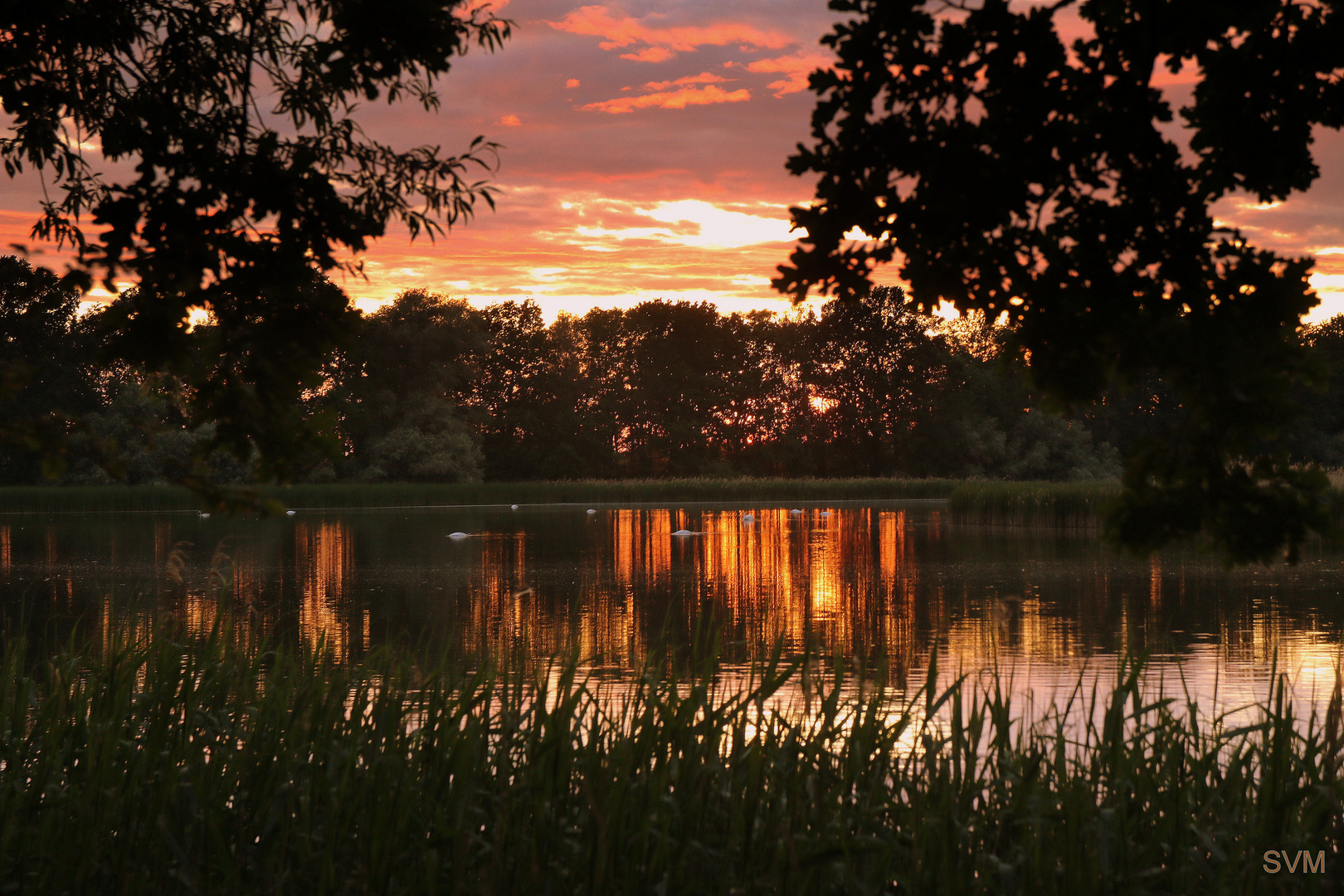 Sonnenuntergang an den Guttauer Teichen