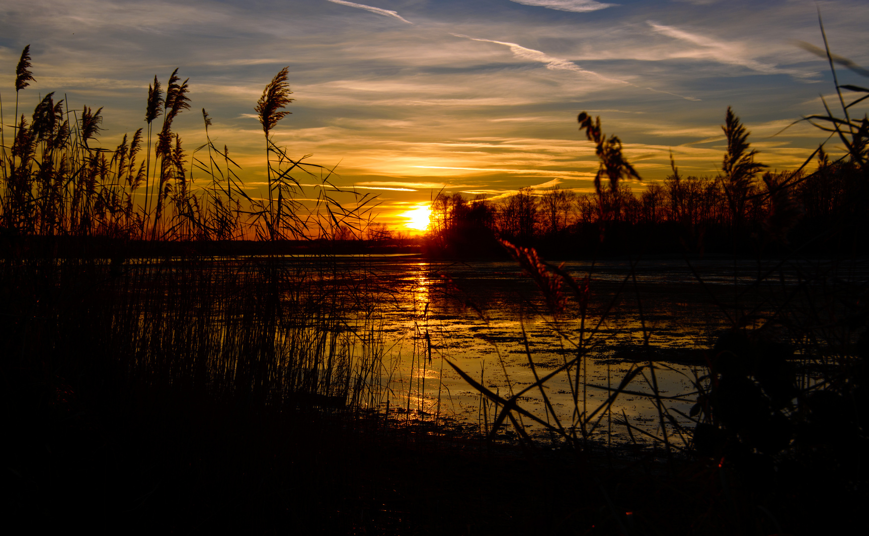 Sonnenuntergang an den Meissendorfer Teichen....so schön einsam dort! :-)