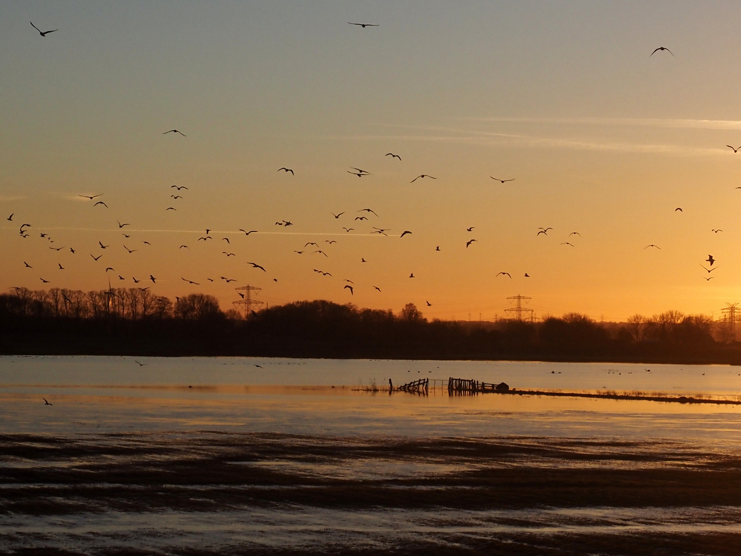 Sonnenuntergang an den Ochtumwiesen