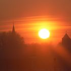 Sonnenuntergang an den Rheinauen in Walsum