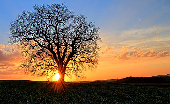 Sonnenuntergang an der A38