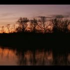 Sonnenuntergang an der Aare