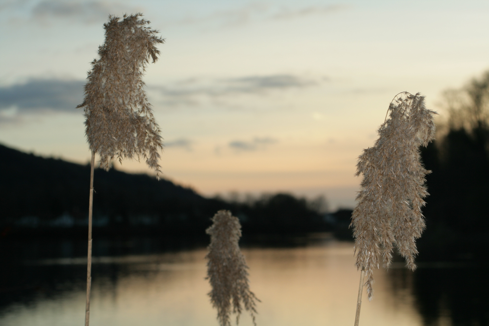 Sonnenuntergang an der Aare