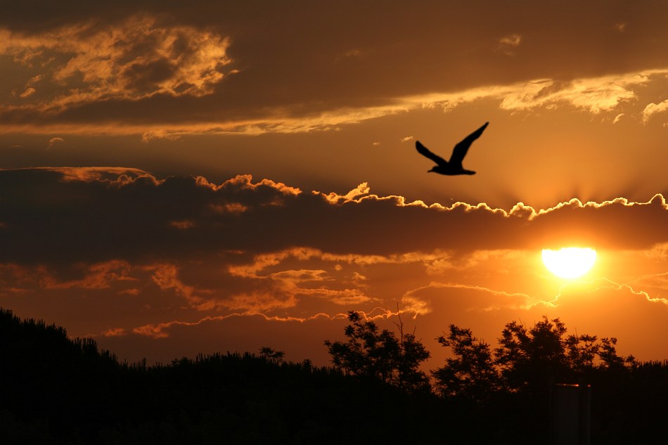 Sonnenuntergang an der Adria