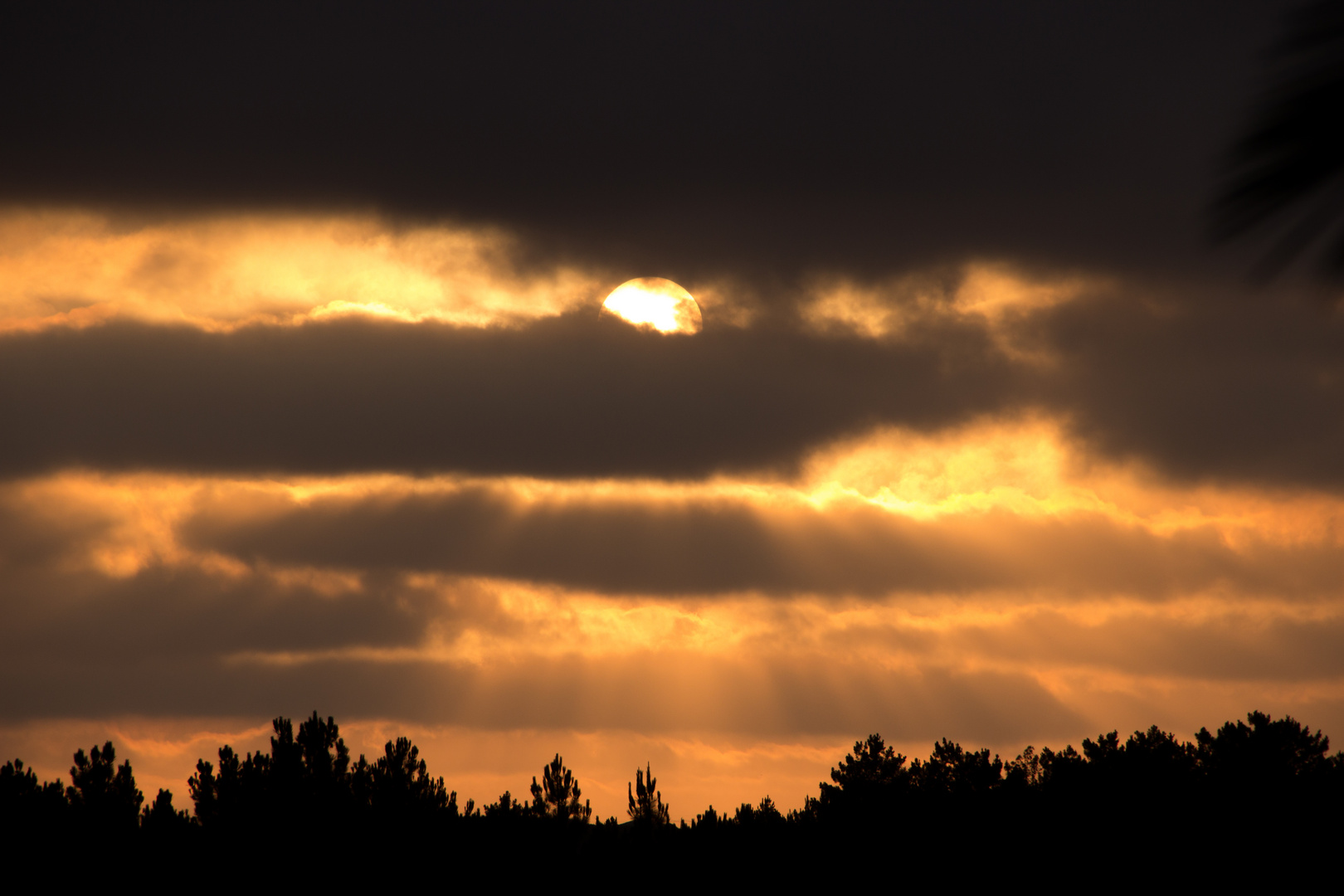 Sonnenuntergang an der Algarve