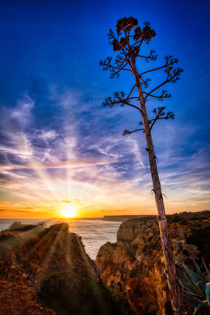 Sonnenuntergang an der Algarve