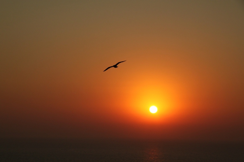 Sonnenuntergang an der Algarve (Lagos)