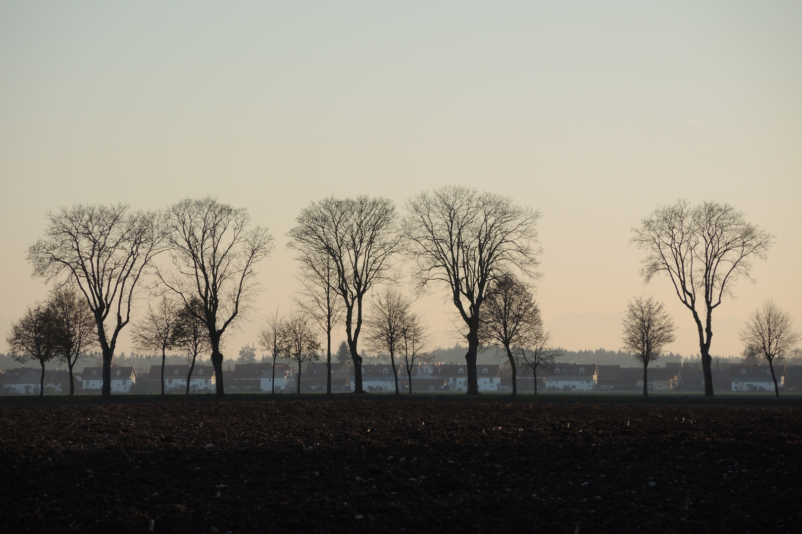 Sonnenuntergang an der Allee