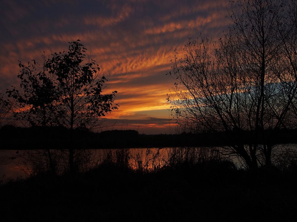 Sonnenuntergang an der Aller