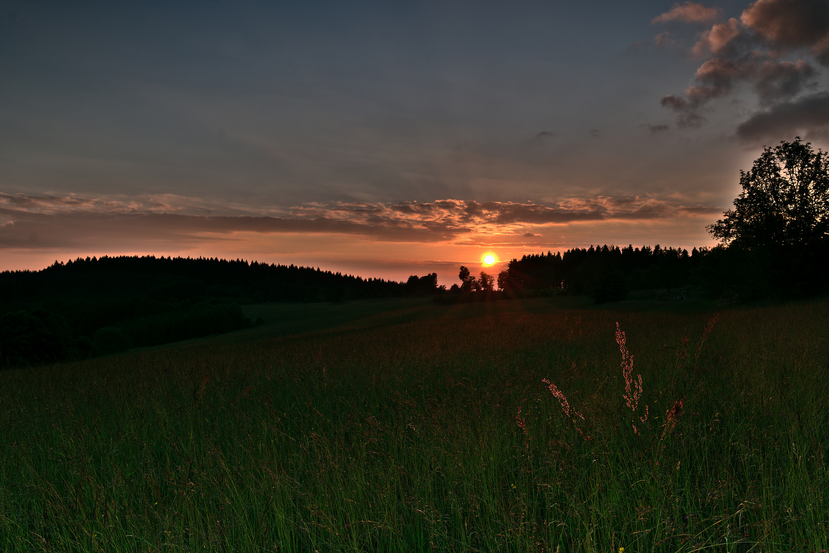 Sonnenuntergang  an der Bergwiese