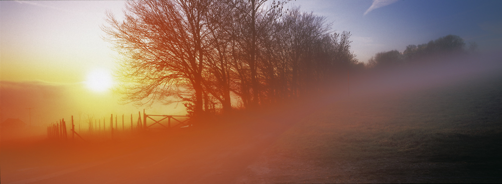 Sonnenuntergang an der Dittersdorfer Höhe