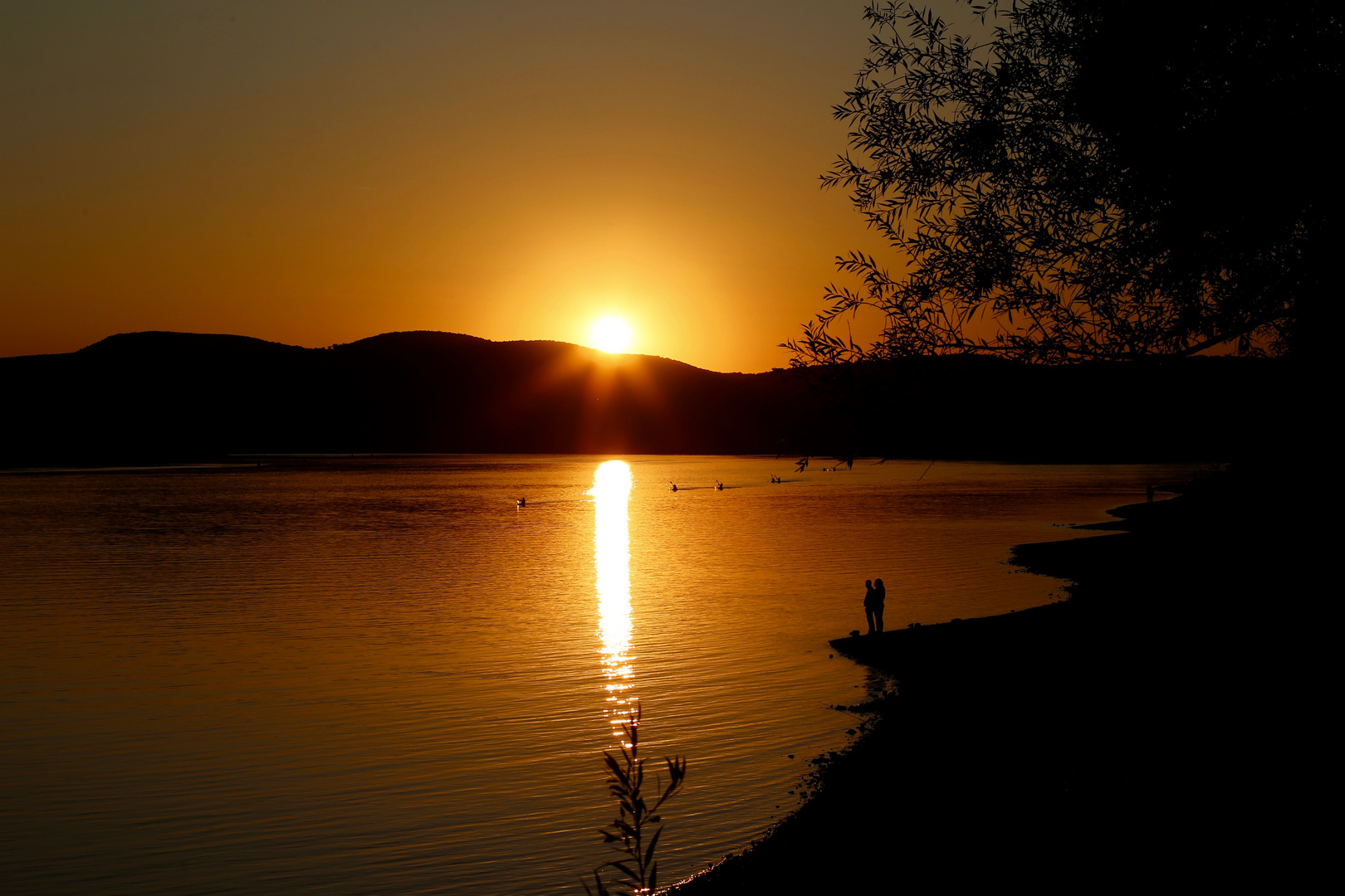 Sonnenuntergang an der Donau