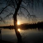 Sonnenuntergang an der Donau