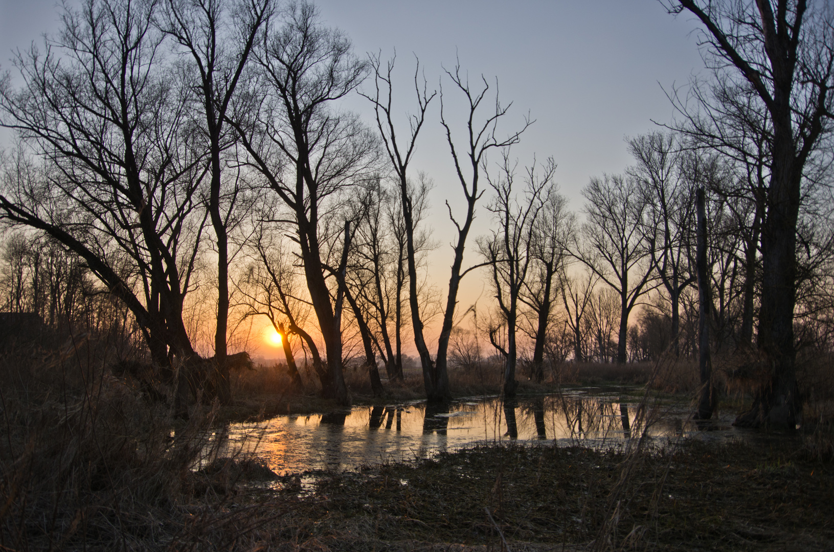 Sonnenuntergang an der Donau