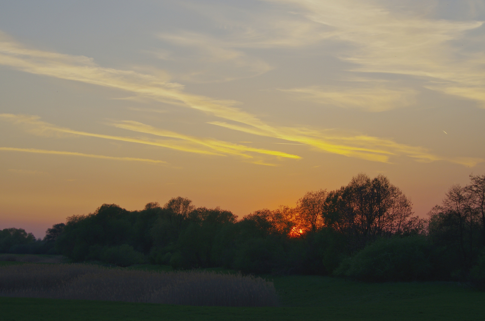 Sonnenuntergang an der Donau