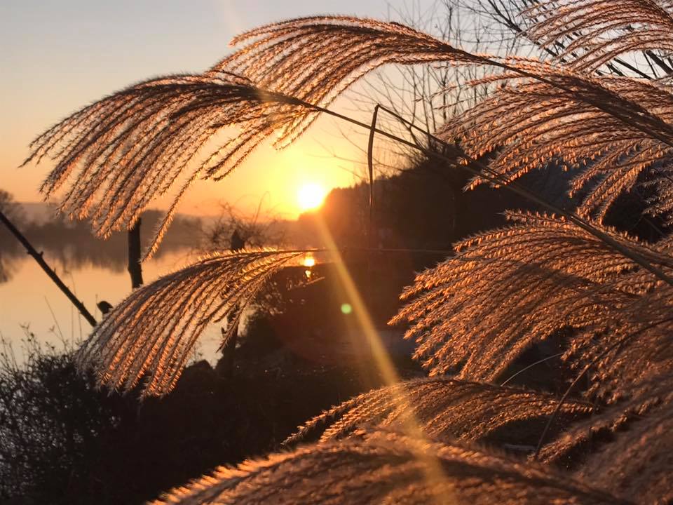 Sonnenuntergang an der Donau