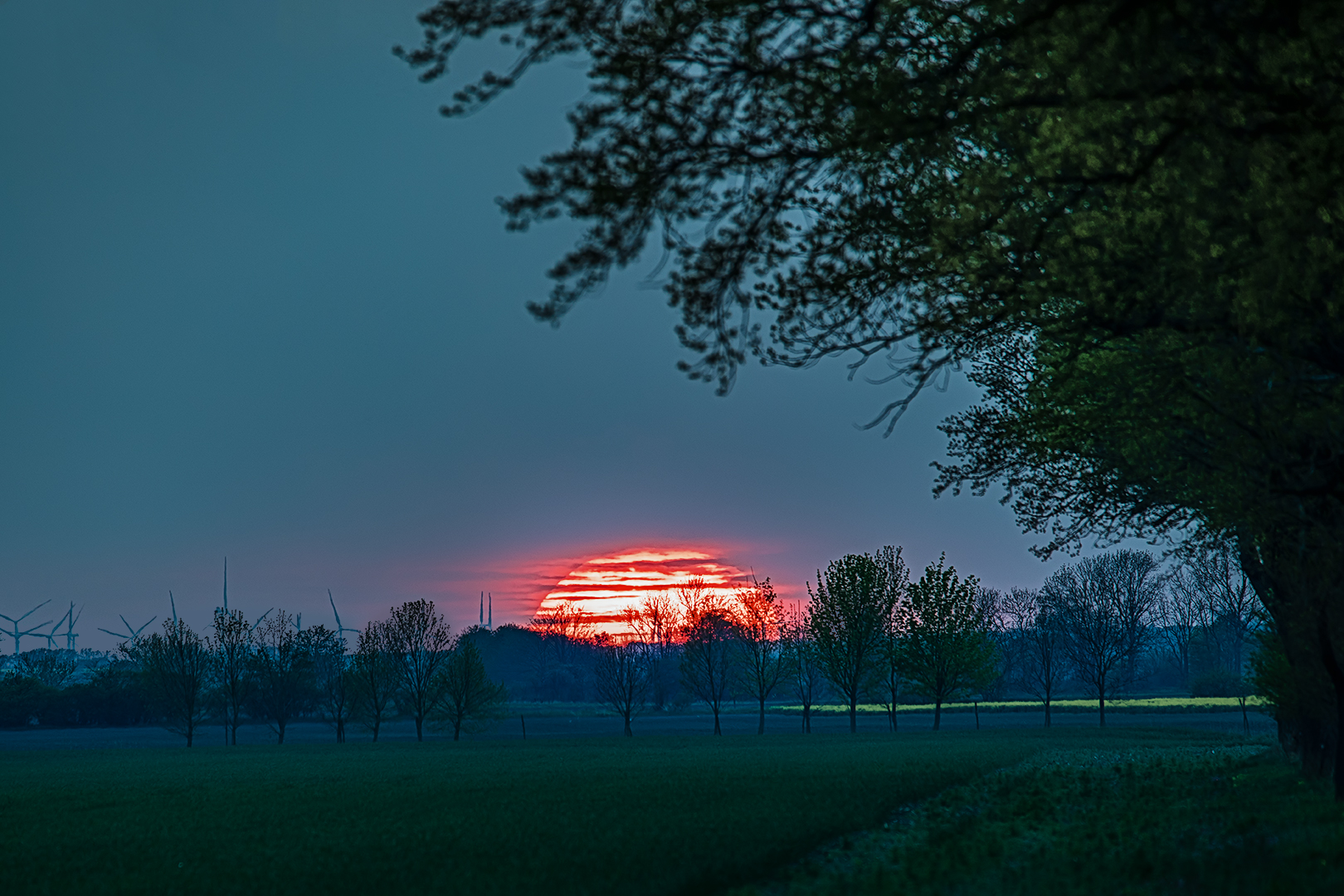 Sonnenuntergang an der Eichenallee...