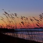 Sonnenuntergang an der Elbe