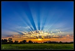 Sonnenuntergang an der Elbe /1.