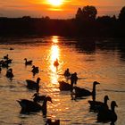 Sonnenuntergang an der Elbe 2