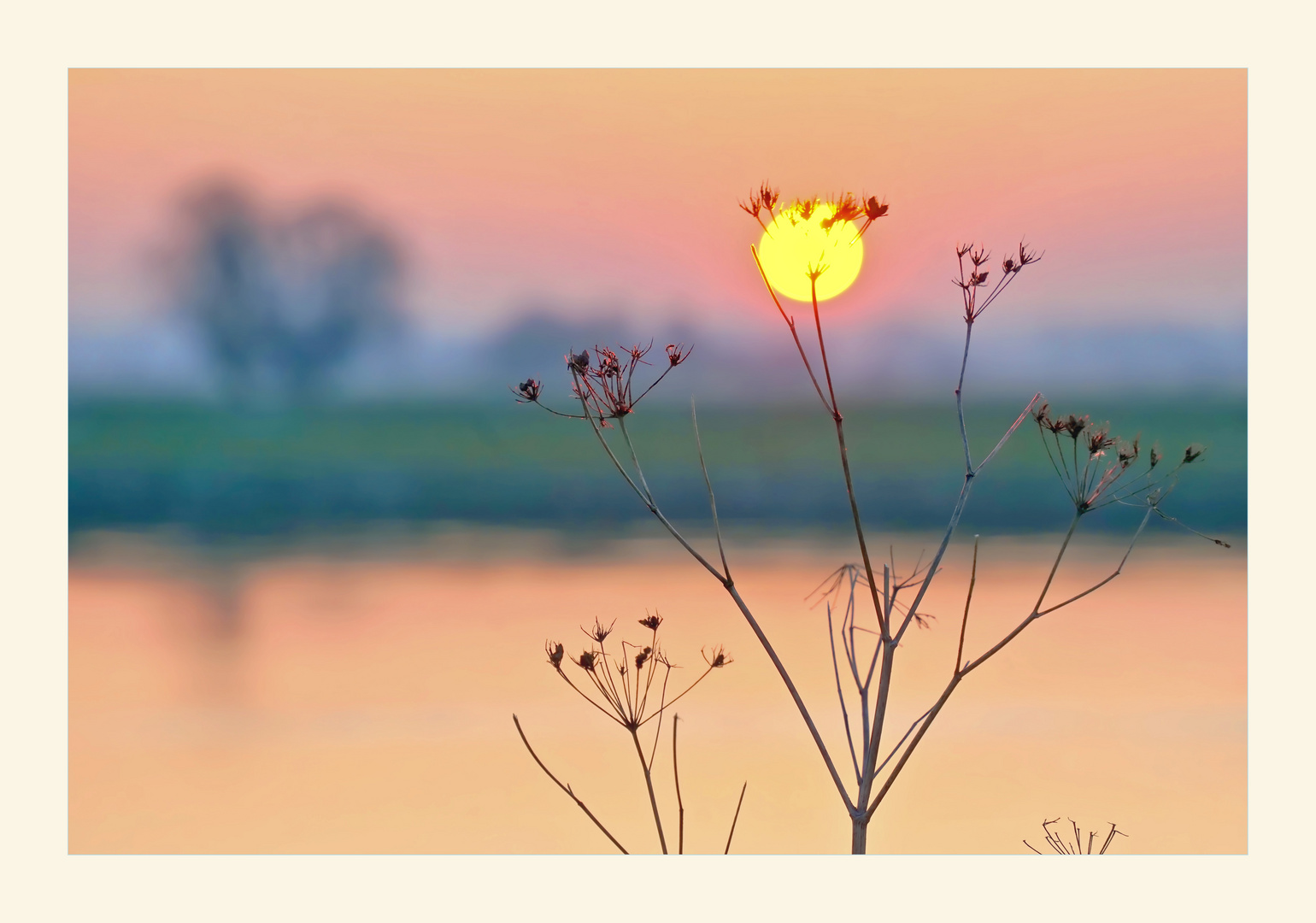 Sonnenuntergang an der Elbe