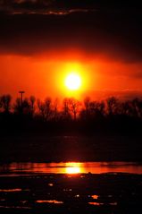 Sonnenuntergang an der Elbe 3