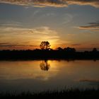 Sonnenuntergang an der Elbe