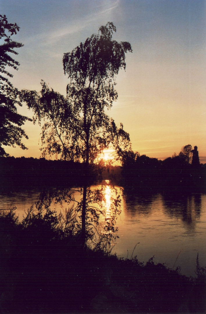 Sonnenuntergang an der Elbe