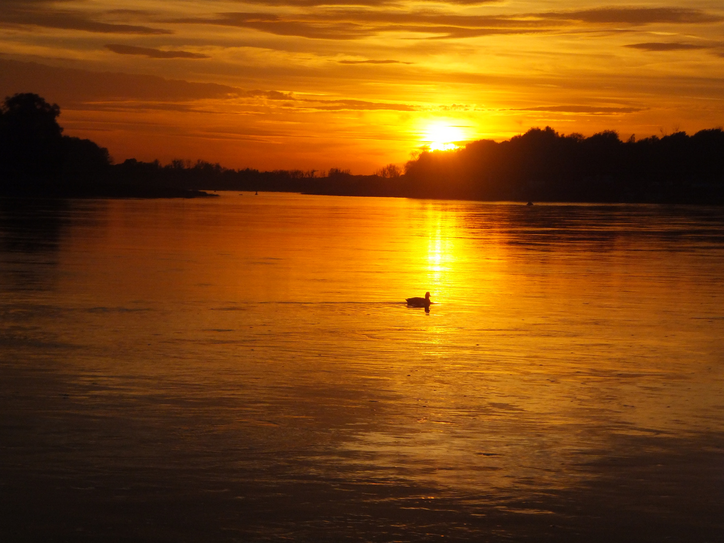 Sonnenuntergang an der Elbe