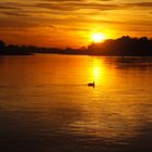 Sonnenuntergang an der Elbe