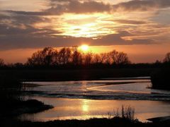 Sonnenuntergang an der Elbe!