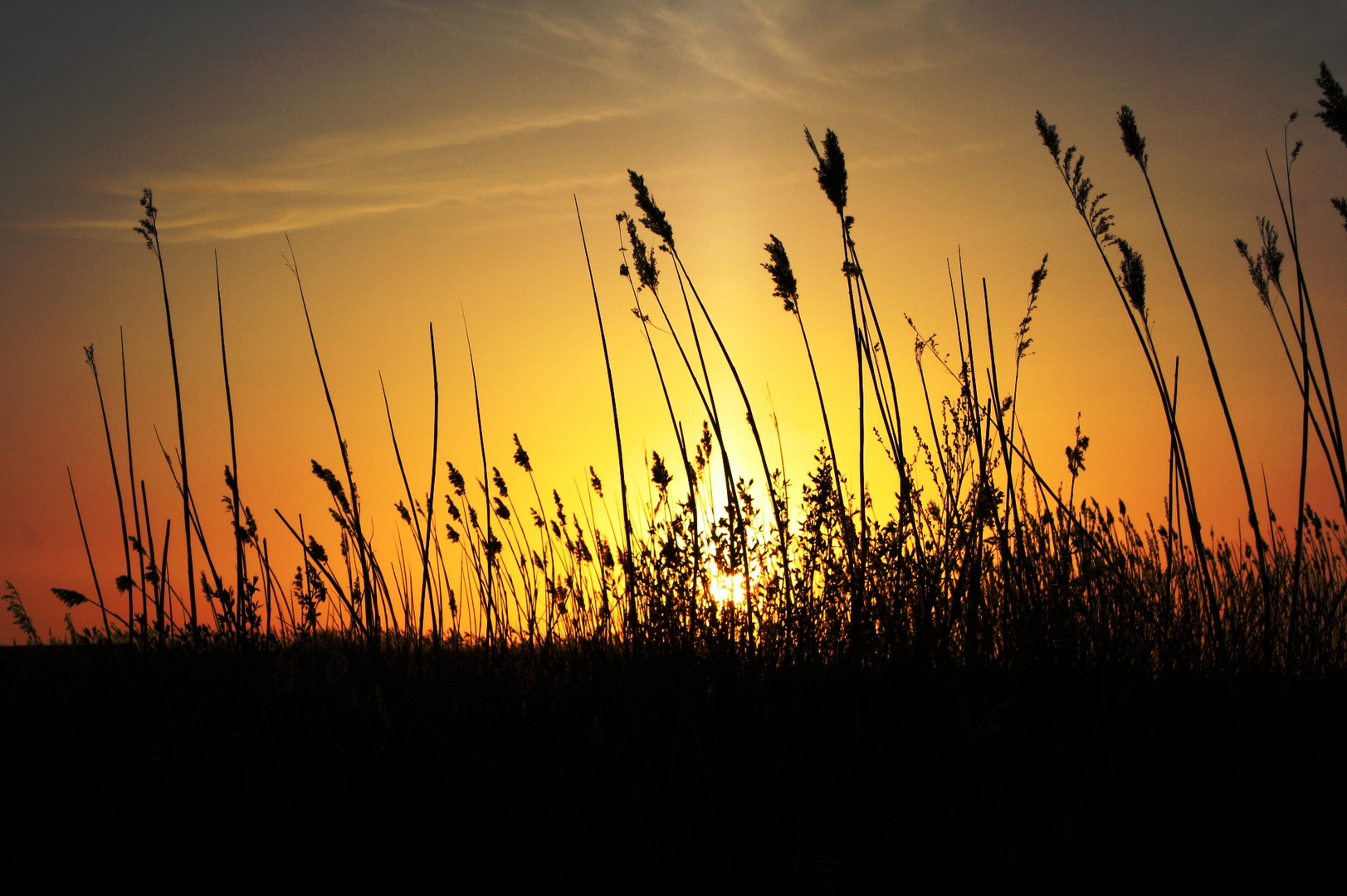 Sonnenuntergang an der Elbe