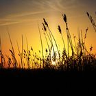 Sonnenuntergang an der Elbe