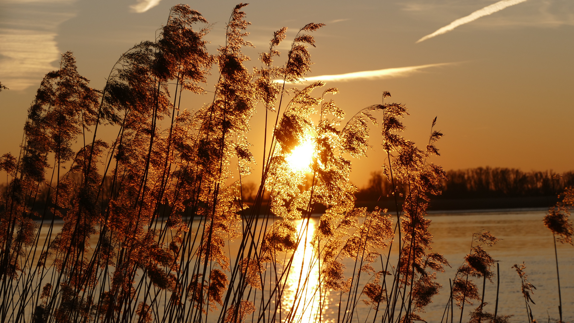 Sonnenuntergang an der Elbe