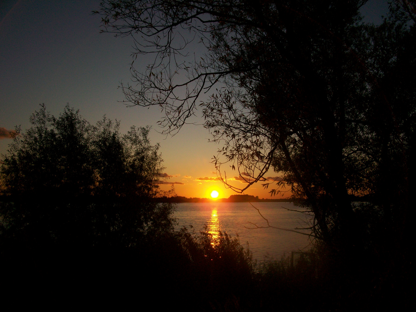 Sonnenuntergang an der Elbe