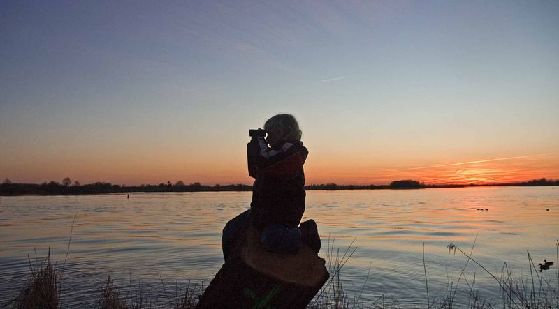 Sonnenuntergang an der Elbe