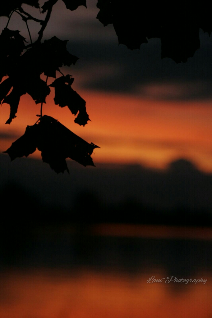 Sonnenuntergang an der Elbe 