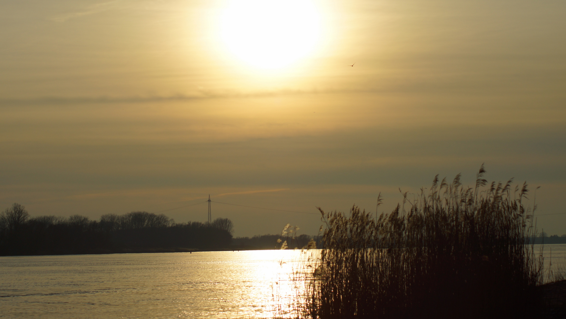 Sonnenuntergang an der Elbe